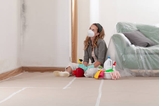 Reliable Mold Testing contractor in Bladensburg, MD by WQB Mold Removal